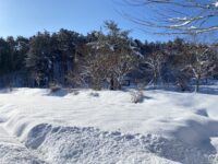 日本初の樹木葬知勝院　雪化粧